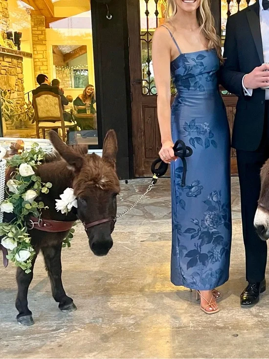 Reformation Frankie Satin Blue Floral Maxi Dress - Picture 2 of 5